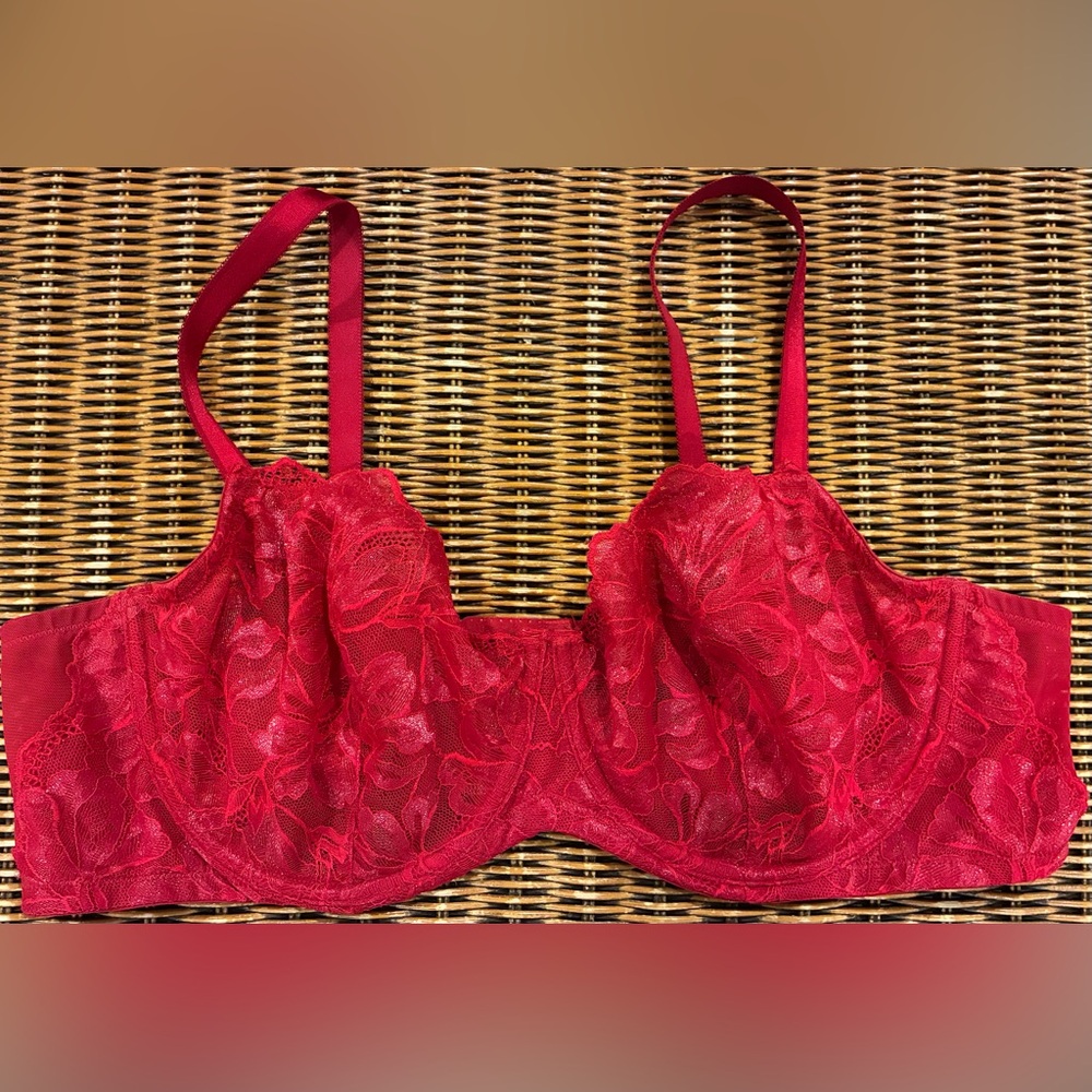 ⭐️3/$15⭐️Torrid Curve Elegant Red Lace Bra 46B